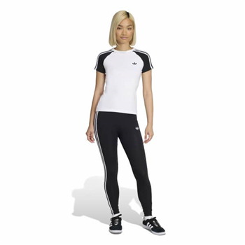 SST TEE