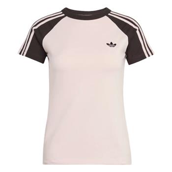 SST TEE