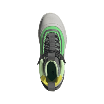 aSMC x TERREX HIKING BOOT