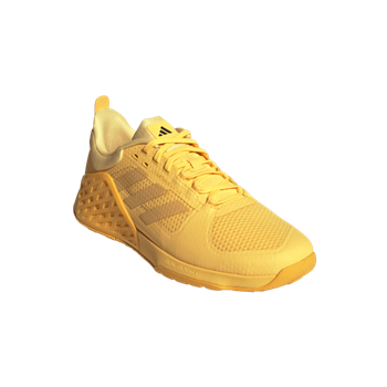 DROPSET 2 TRAINER