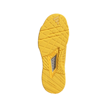 DROPSET 2 TRAINER