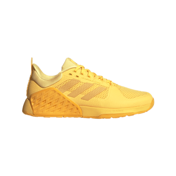 DROPSET 2 TRAINER