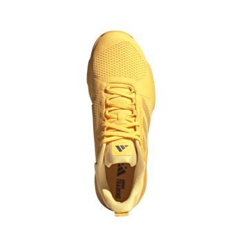 DROPSET 2 TRAINER