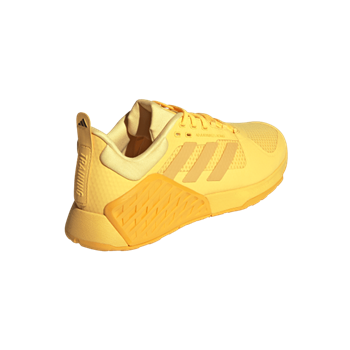 DROPSET 2 TRAINER
