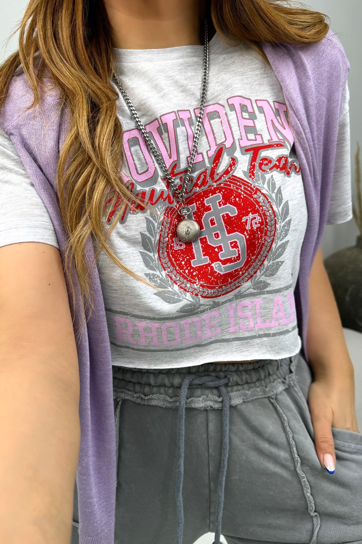 Providence Crop Tshirt Gri-Pembe