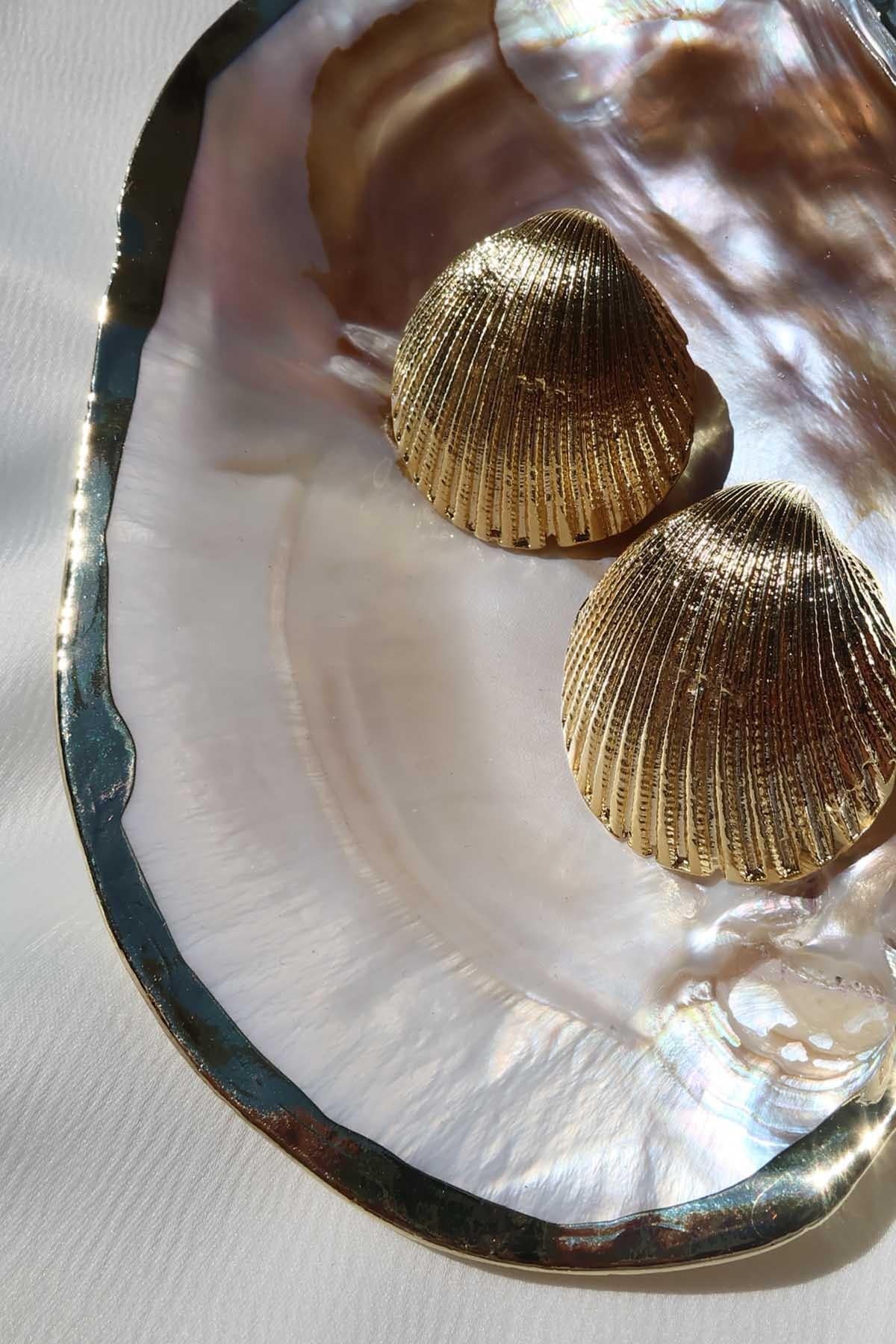 Küçük Deniz Kabuğu Küpe Gold