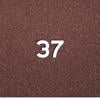 37kaFSAESS