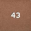 43kaFSAESS