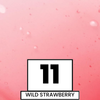 11 WILD STRAWBERRY