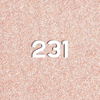 231FSAC
