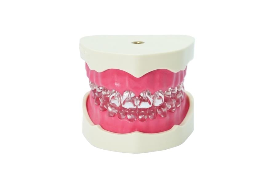 Edudent EndoPrep® Alt ve Üst Çene