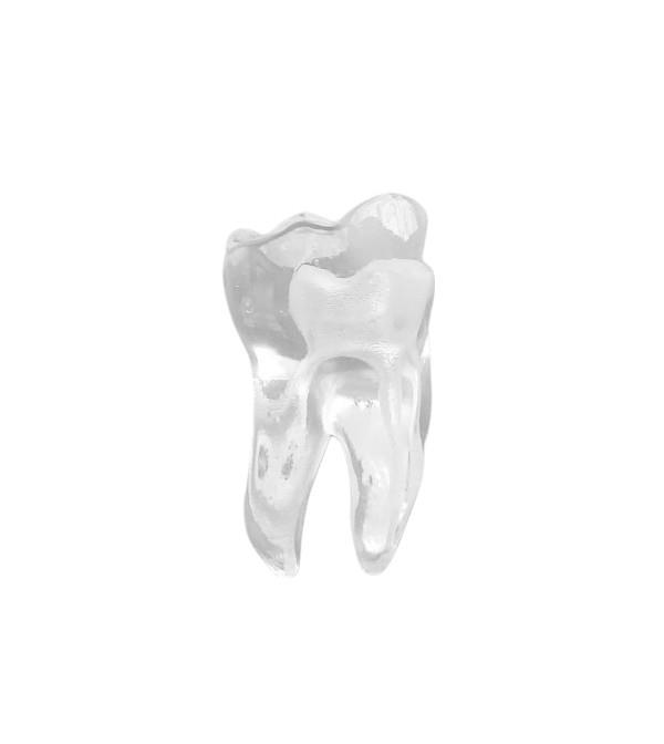 Edudent Endoprep Şeffaf Kanallı Diş