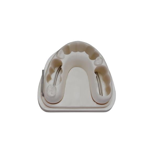 Edudent Real Endo Tek Çene