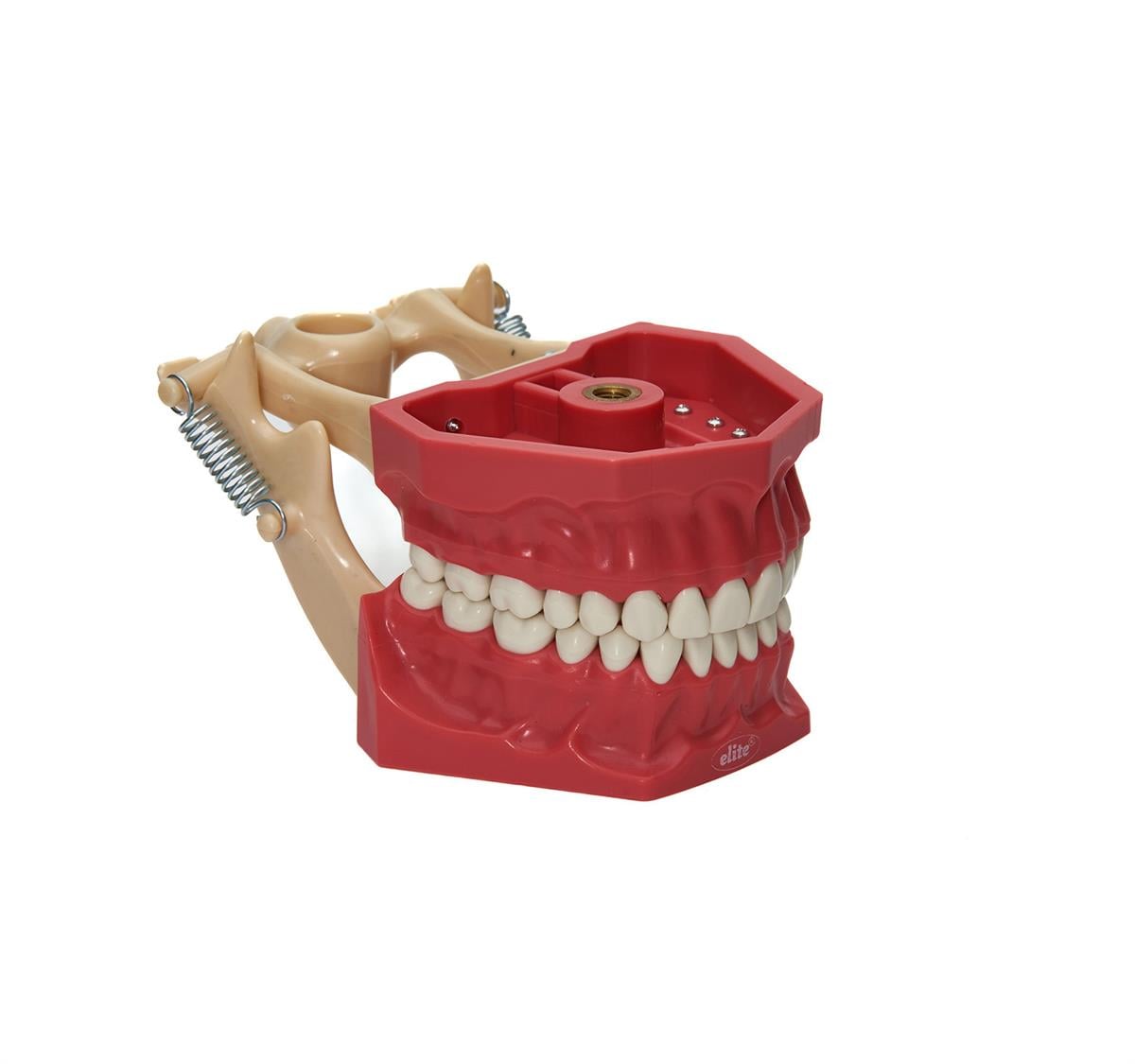 Elite Fantom Çene Sert Dişli 