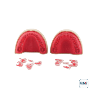 Endodax Endodontik Pedodonti Çene Takım