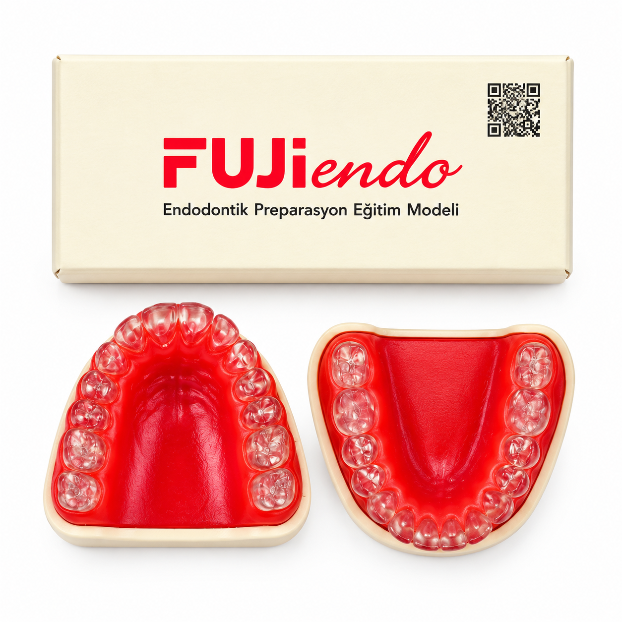 Fuji Endodontik Çene Şeffaf Kanallı