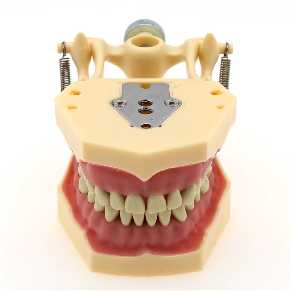 Fuji Plus 32 lik Çene