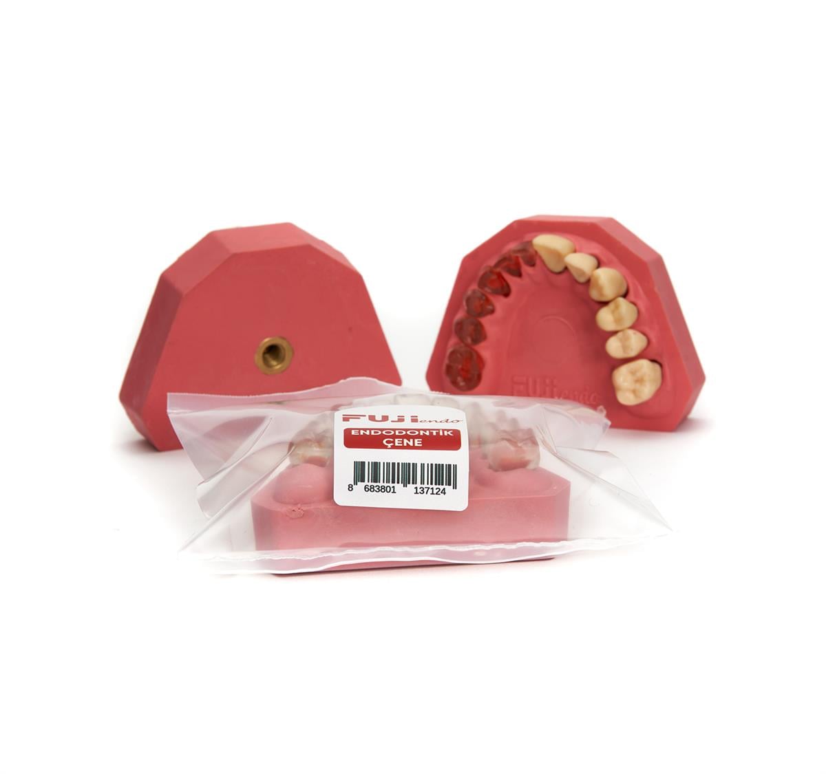 Fuji Prep Endodontik Çene (Wax)