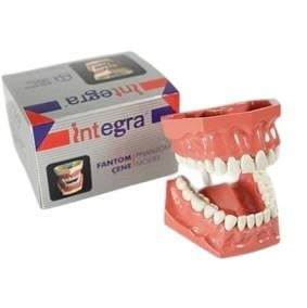 İntegra Sert Fantom Çene