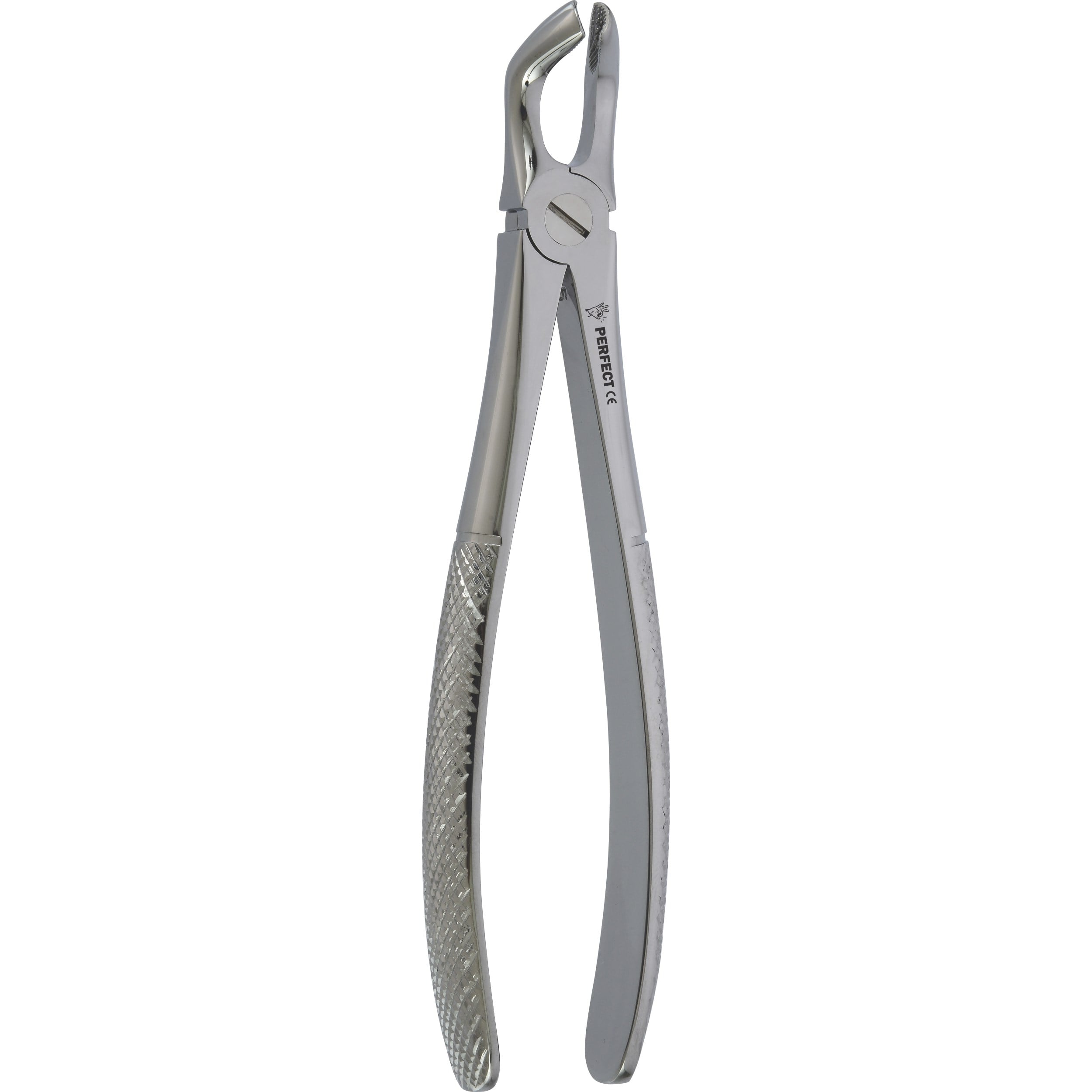 Perfect Yetişkin Davye Alt 20 Yaş Fig 79