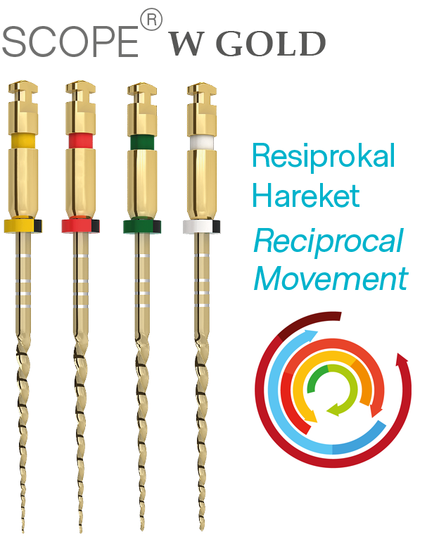 Scope W Gold Resiproc Kanal Eğeleri