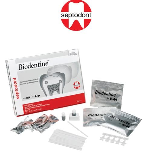 Septodont Biodentine Bioaktif Dentin Tamir Materyali
