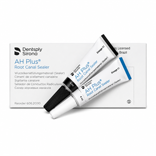 Dentsply Ah Plus Kanal Dolgu Patı