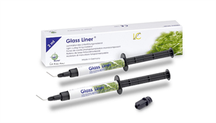 WP Dental Glass Liner Cam Işınlı İyonomer Kaide
