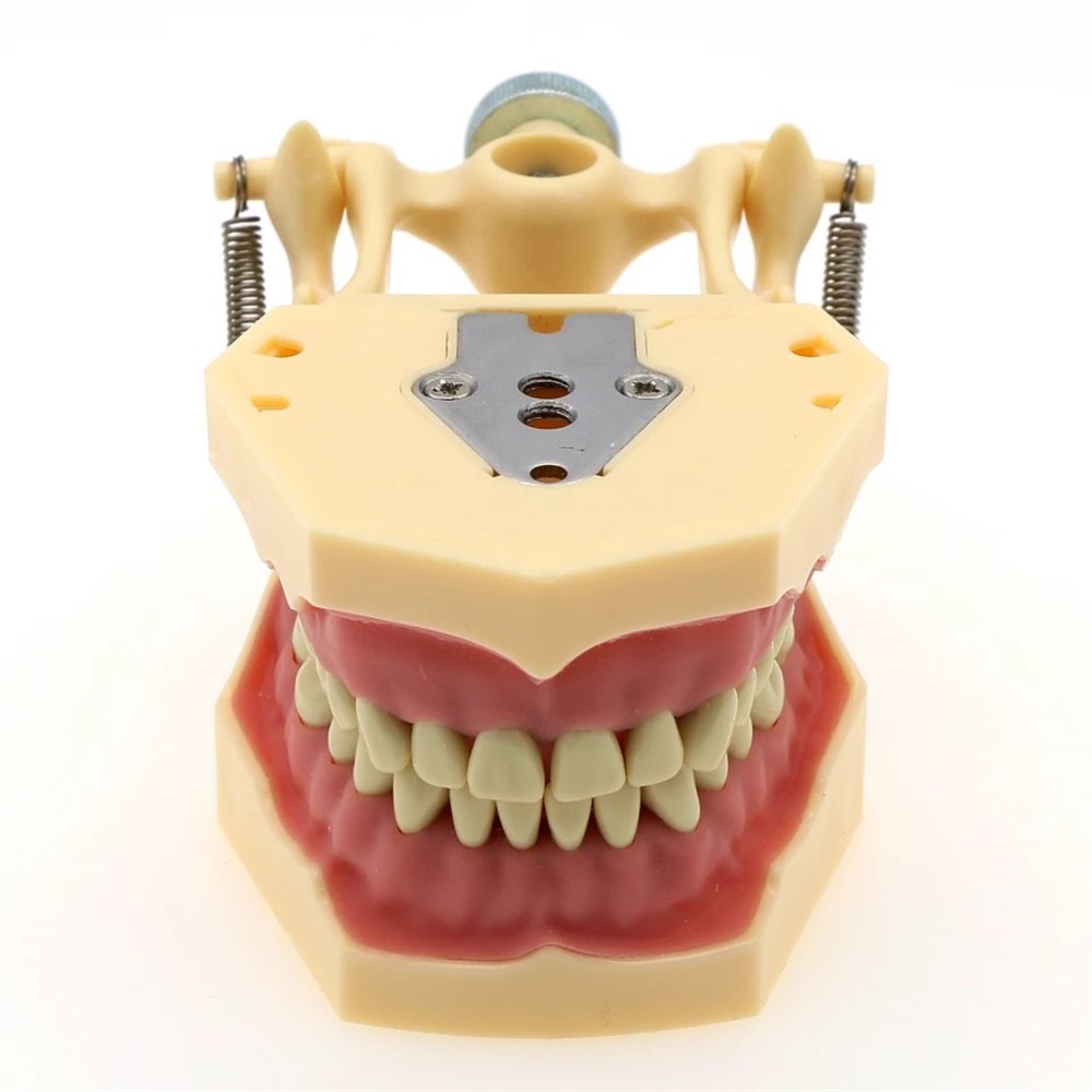 Fuji Plus 32 lik Çene