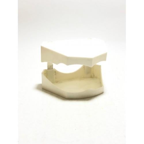 Model Base Takim