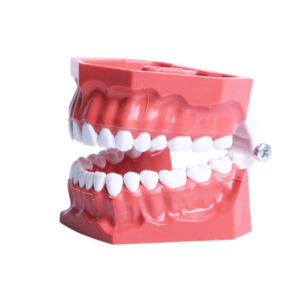 PLASTİK 32 LİK ÇENE 