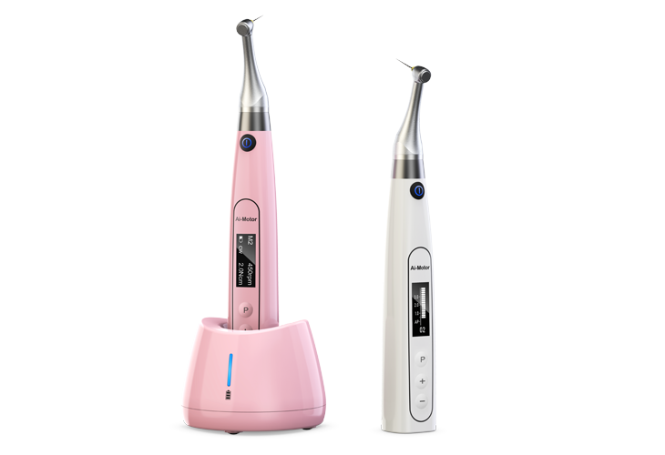 Woodpecker Ai Endo Motor