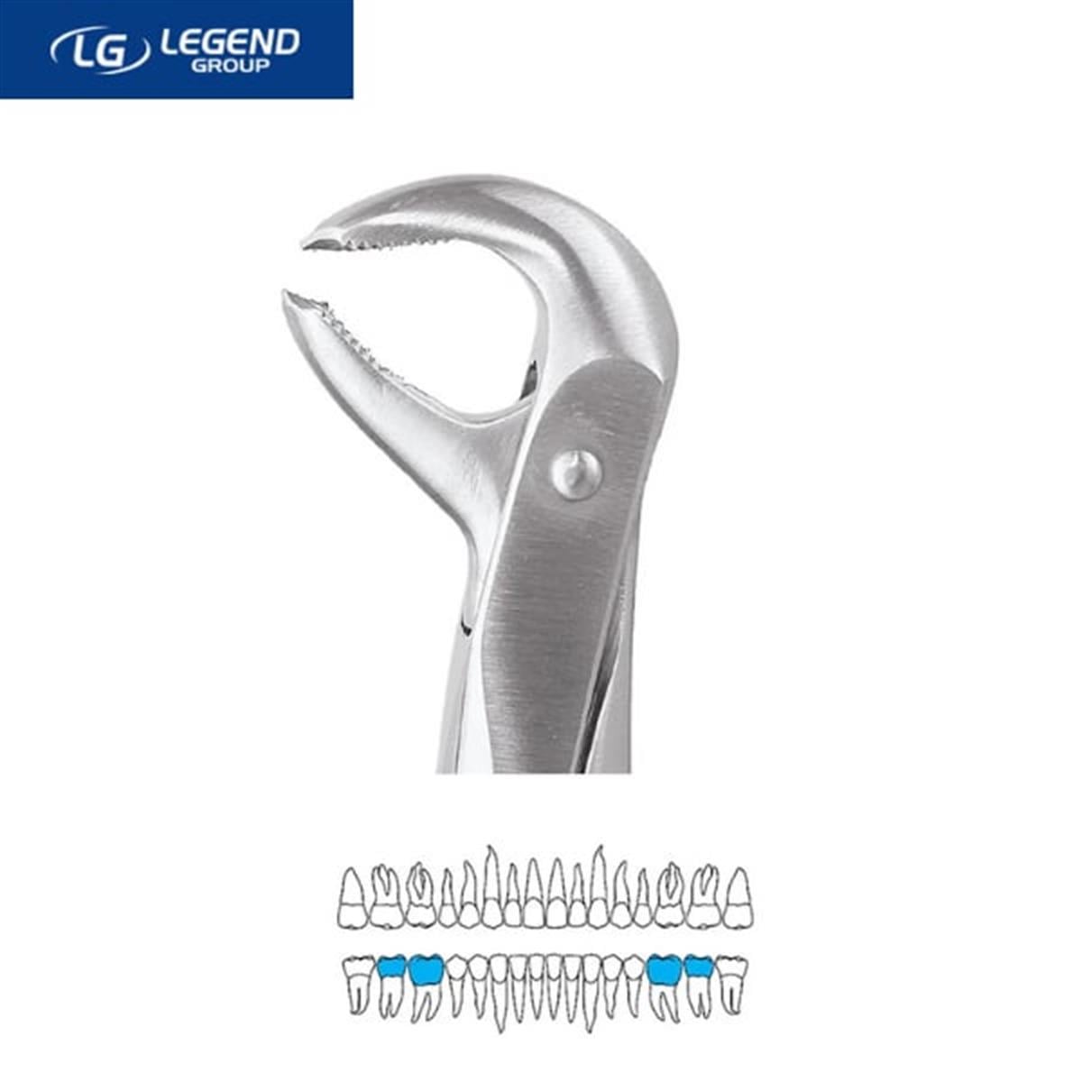 Legend Plus Davye Alt Azı Dişleri