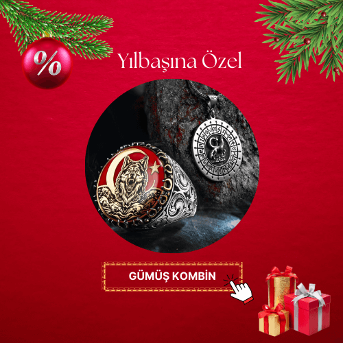 Gümüş Kombin