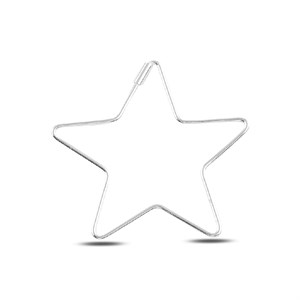 Yıldız Model Gümüş Küpe