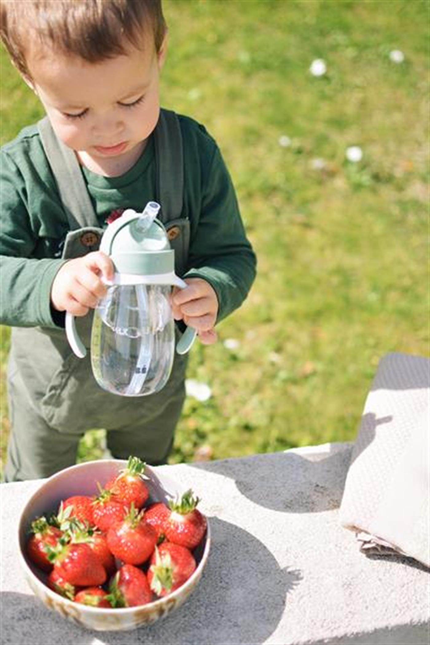 300 ml Şeffaf Pipetli Suluk Sage Green