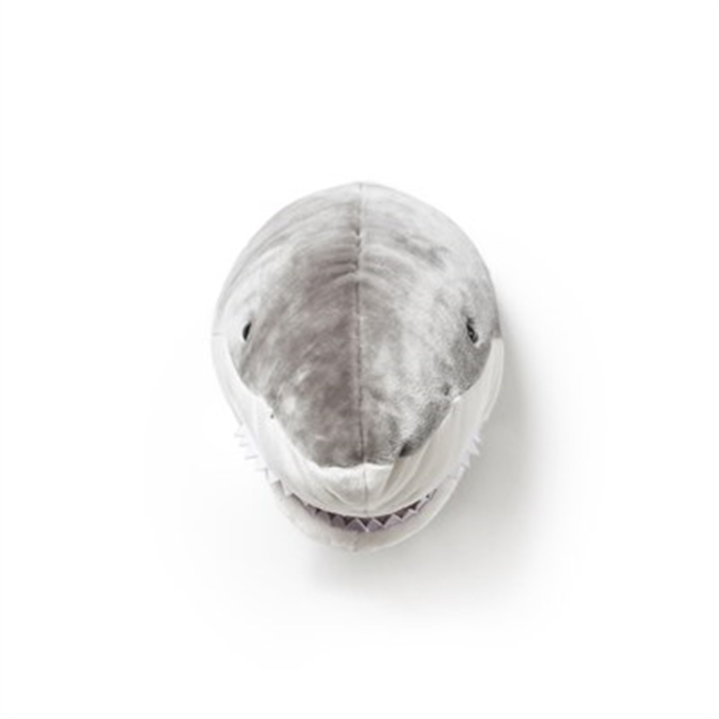 Kopek Balığı Jack