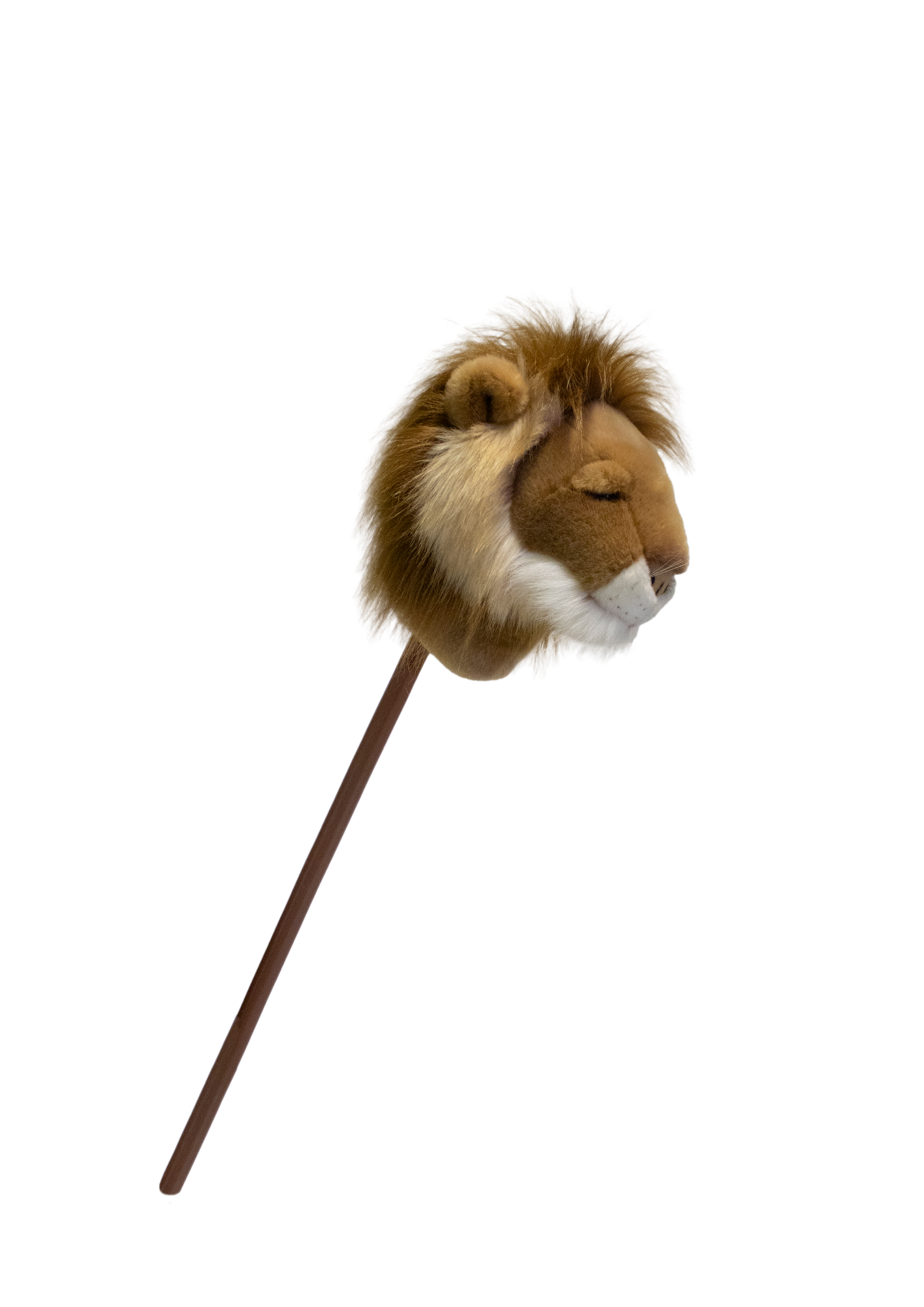 Sopa Oyuncak, Aslan