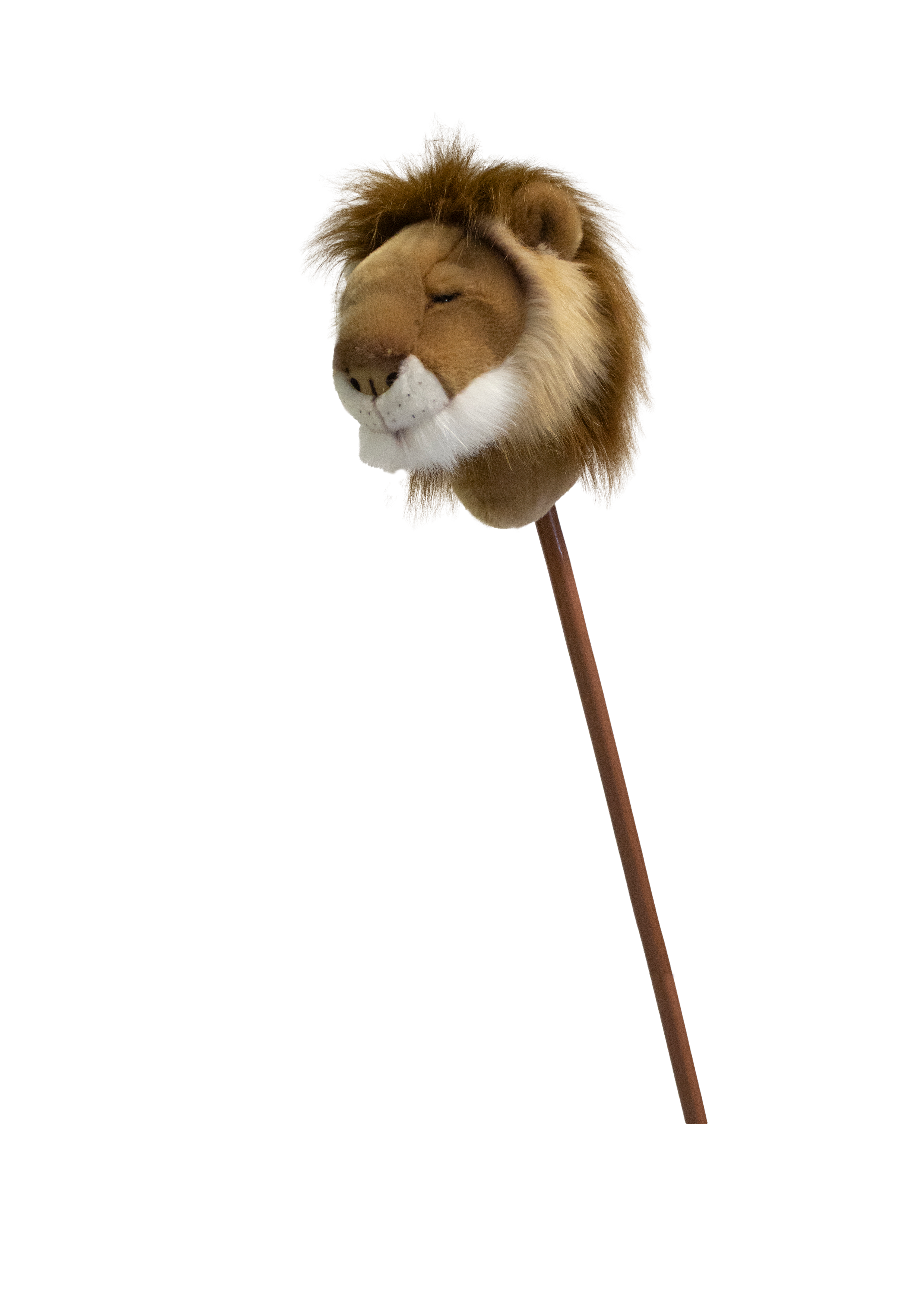 Sopa Oyuncak, Aslan