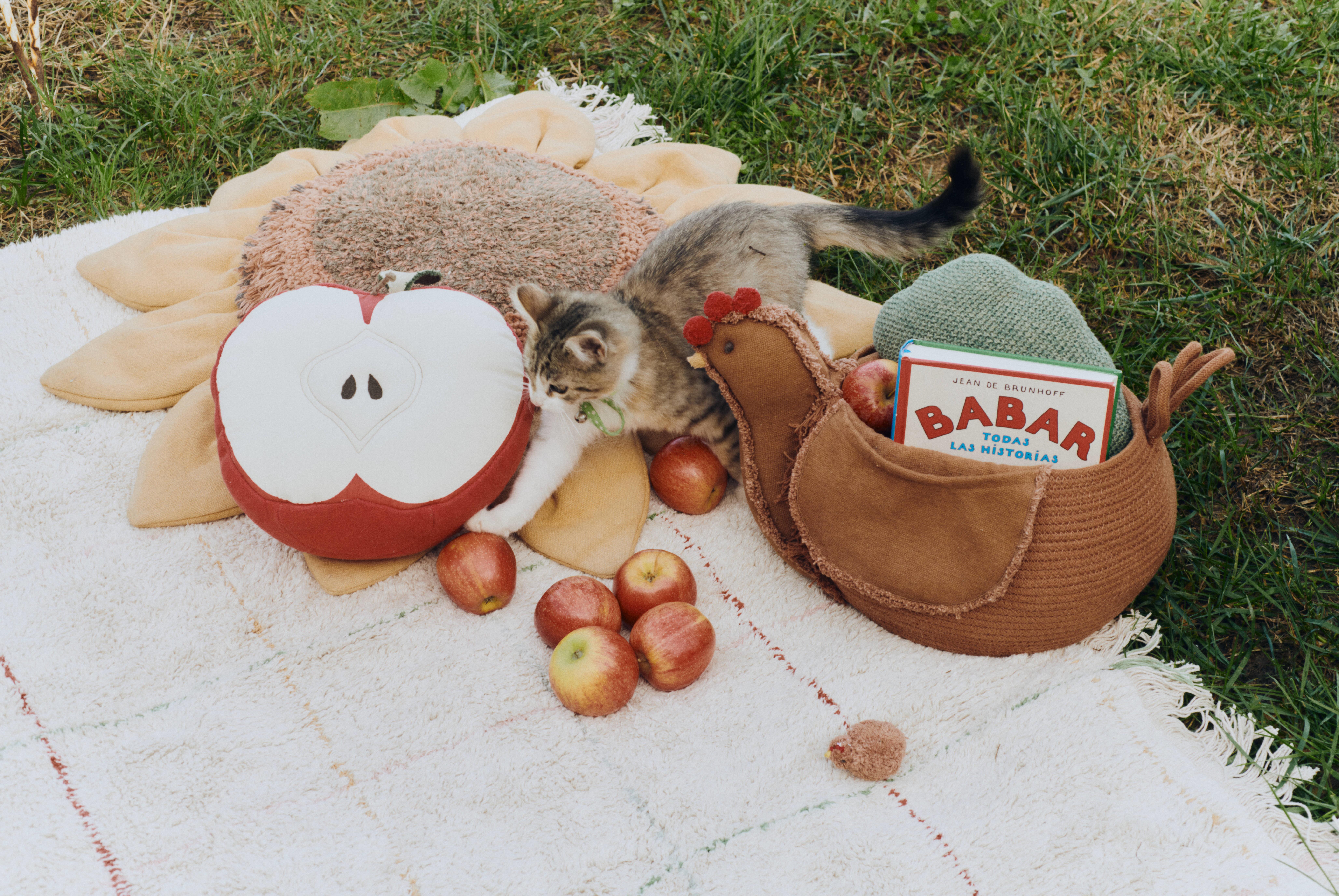 Yastık, Apple