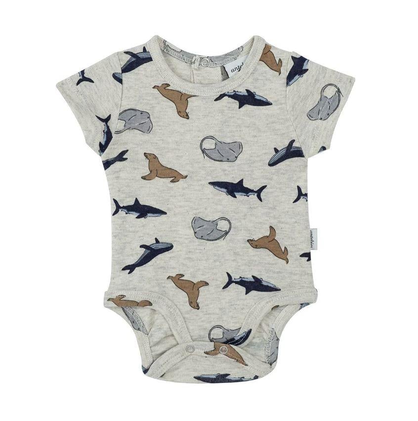 Antebies Denizde yaşam Body STD