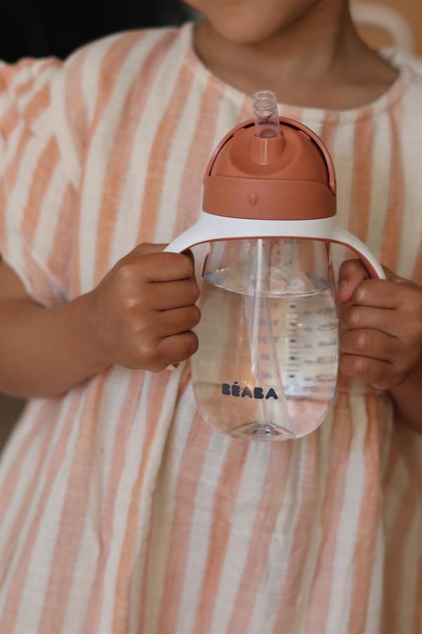 300 ml Şeffaf Pipetli Suluk, Terracotta