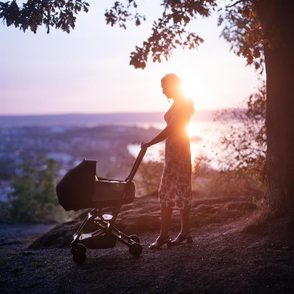 Bumprider Connect³ Bebek Arabası Portbebe Grey Melange