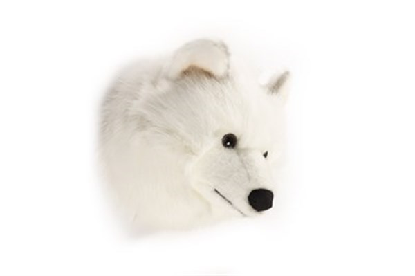 Duvar aksesuarı - Beyaz Kurt Lucy