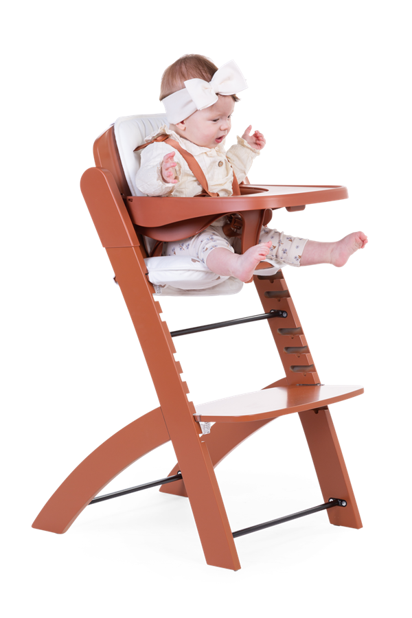 Evosit Mama Sandalyesi, Rust