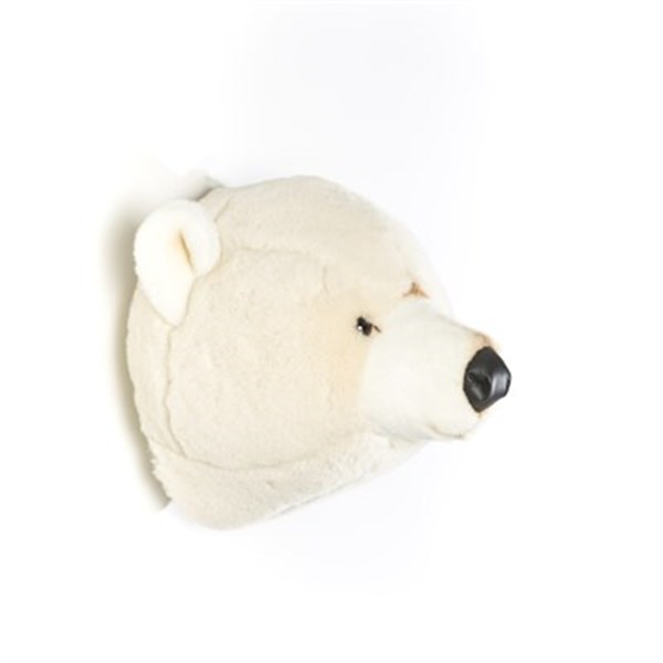 Kutup ayısı Basile