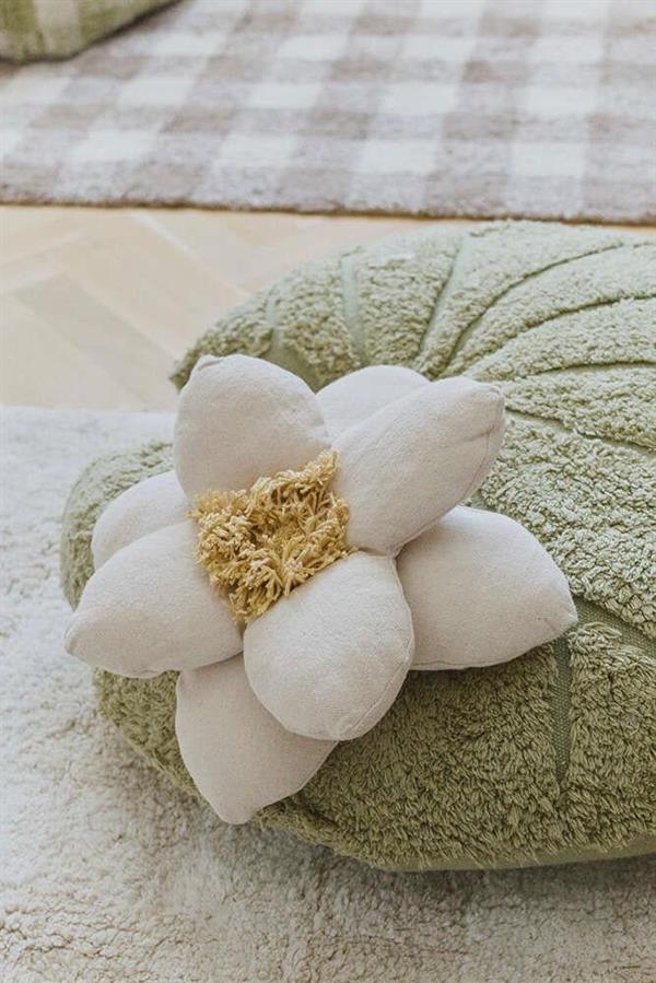 Lorena Canals Minder, Water Lily