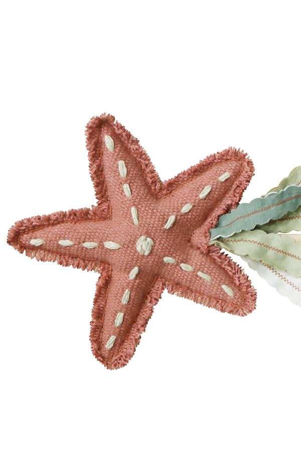 Sihirli Değnek, Starfish