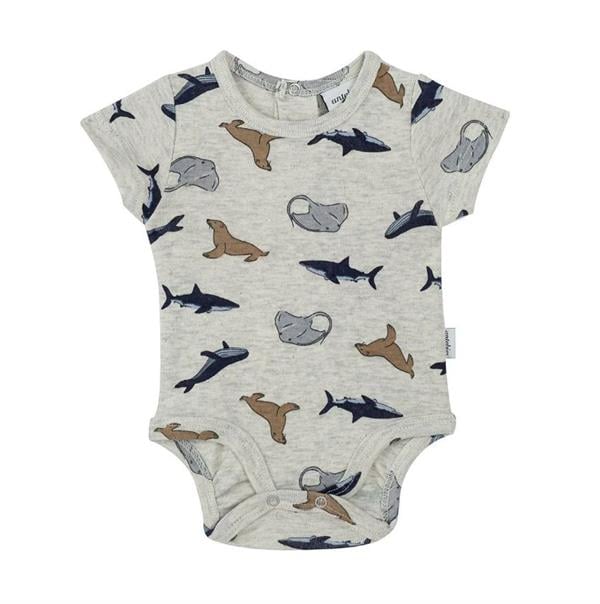 Antebies Denizde yaşam Body STD