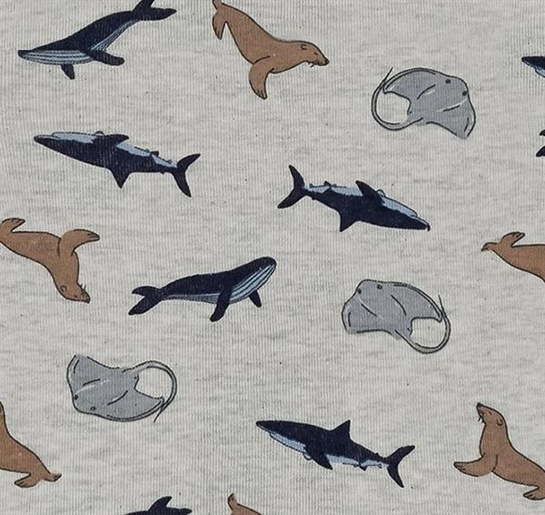 Antebies Denizde yaşam Body STD